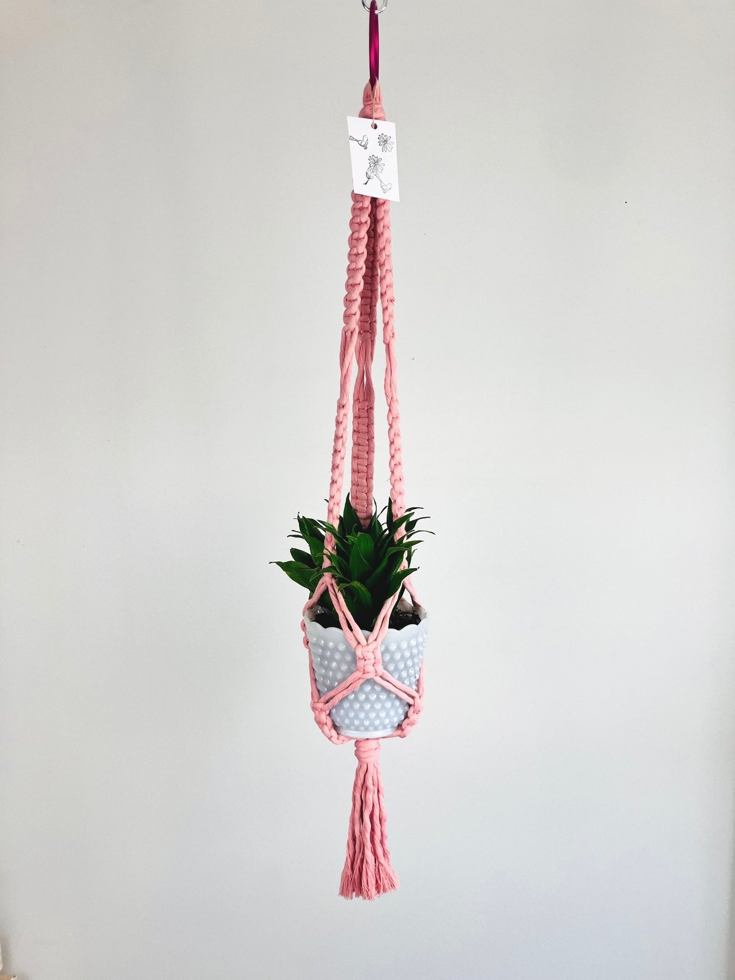 Macrame Plant Hanger