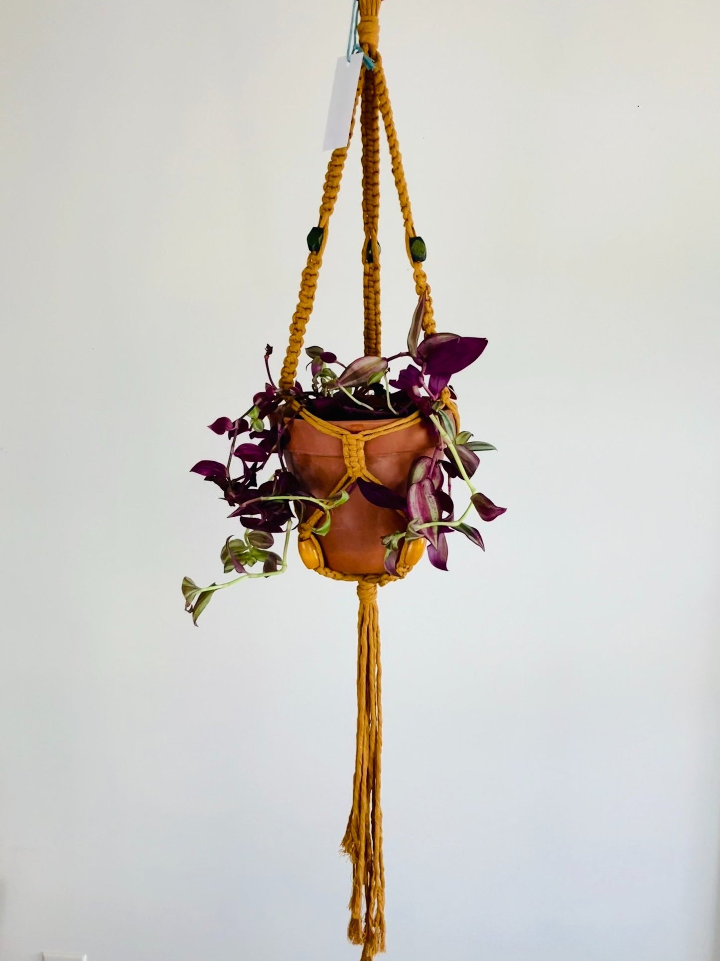 Macrame Plant Hanger