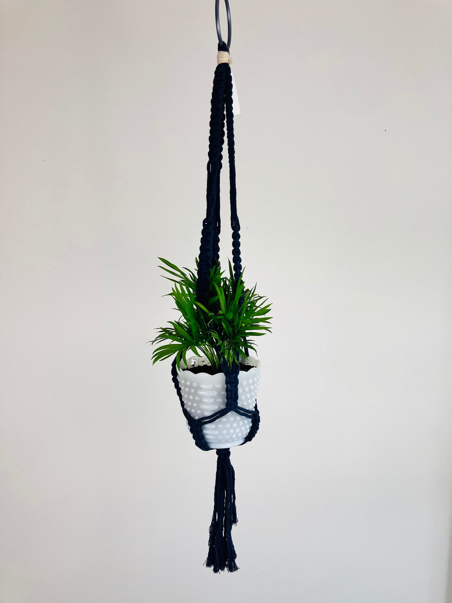 Macrame Plant Hanger